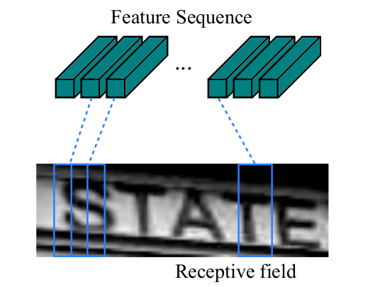 receptive field